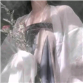 替嫁之王后秘史