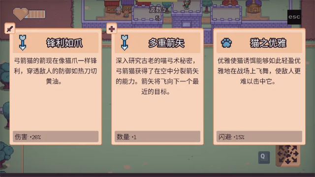 猫猫幸存者