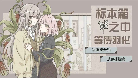 在标本箱中等待羽化