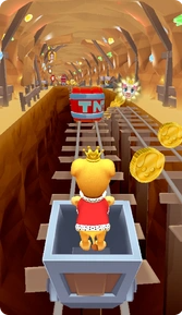 宠物跑道