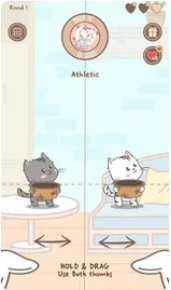 击败猫