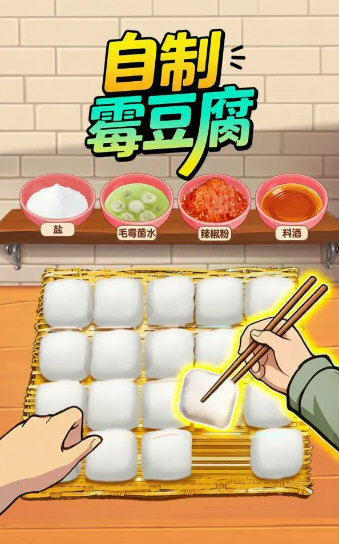 自制霉豆腐