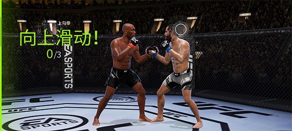 UFC终极格斗冠军2