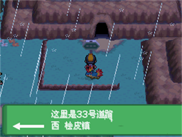 口袋妖怪心金nds汉化版