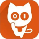 猫视界