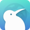 Kiwi浏览器