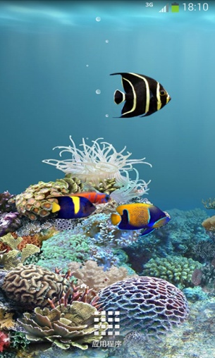 水族馆动态壁纸