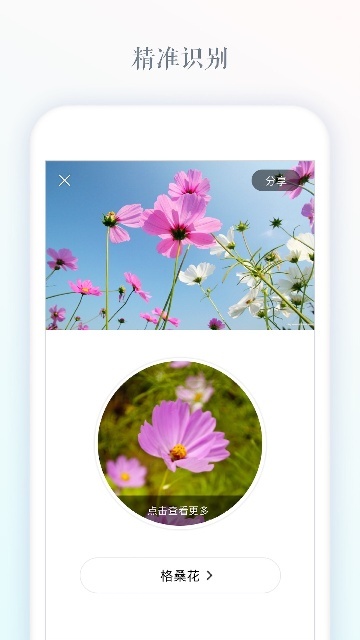 识花大师