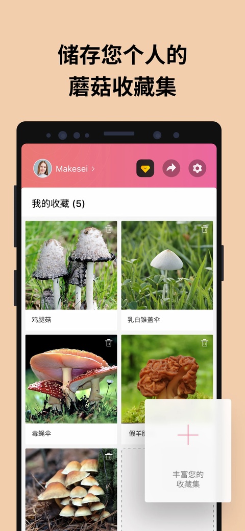 蘑菇识别扫一扫