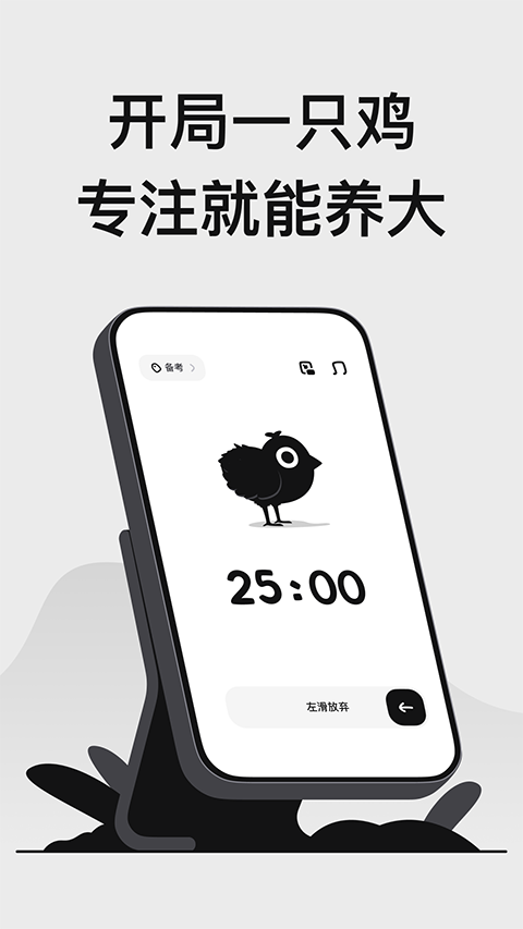小鸡专注